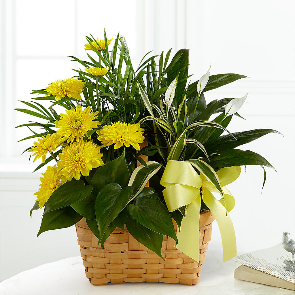 Loving Light Dishgarden – Simply Flowers, Moscow TN