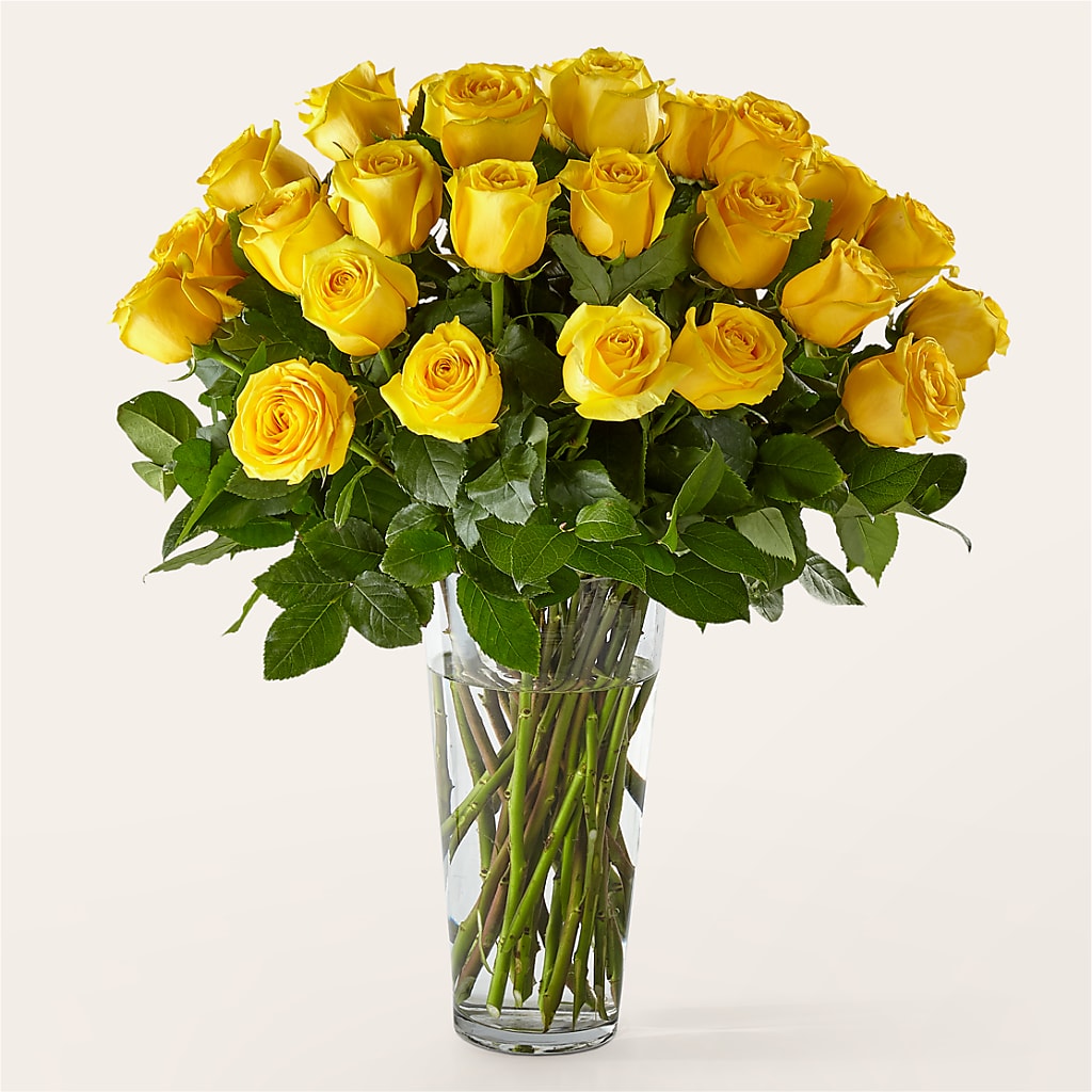 Long Stem Yellow Rose Bouquet – Simply Flowers, Moscow TN