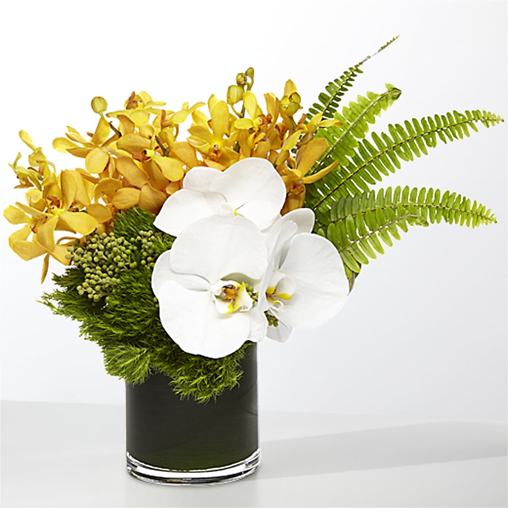 The Tropics – Simply Flowers, Moscow TN