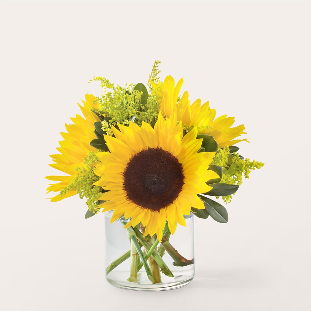 Beaming Sunflower Bouquet – Simply Flowers, Moscow TN