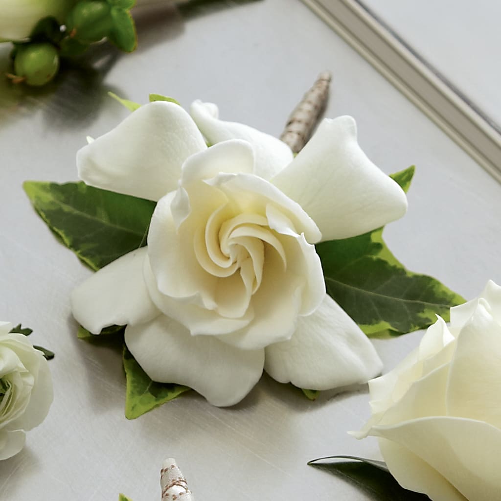 Gardenia Boutonniere – Simply Flowers, Moscow TN