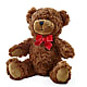 Adorable Plush Bear –  Simply Flowers, Moscow TN