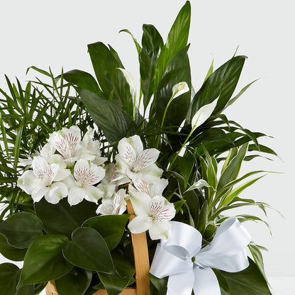 Peace & Serenity Dishgarden –  Simply Flowers, Moscow TN