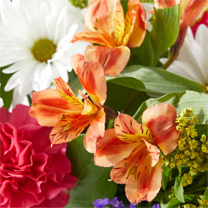 Oopsie Daisy Box Bouquet –  Simply Flowers, Moscow TN