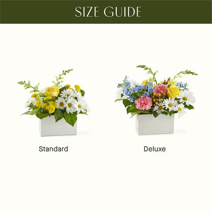 Sun Salutation Box Bouquet –  Simply Flowers, Moscow TN