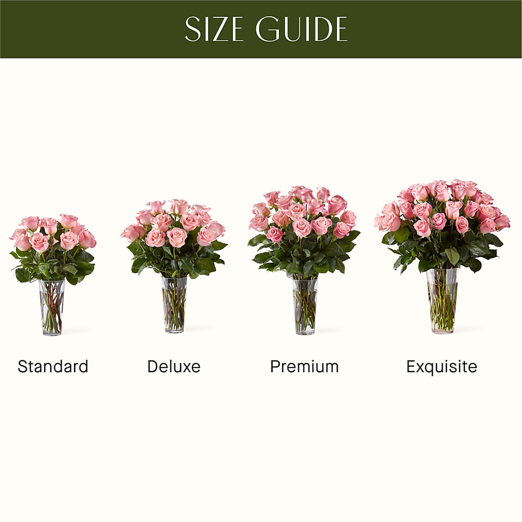 Long Stem Pink Rose Bouquet –  Simply Flowers, Moscow TN
