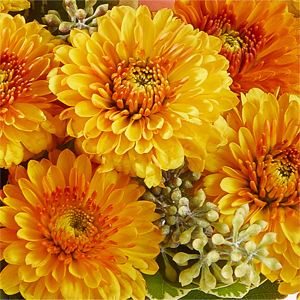 Peachy Pumpkin –  Simply Flowers, Moscow TN