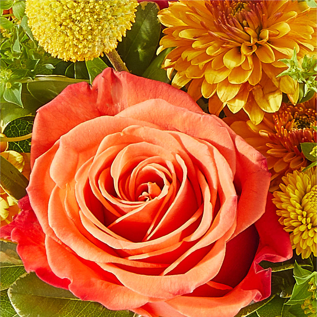 Gourdgeous Pumpkin –  Simply Flowers, Moscow TN