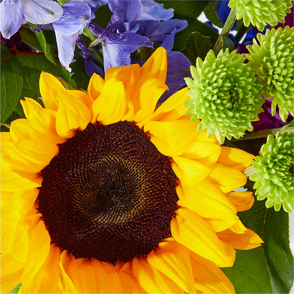 Catching Rays Bouquet –  Simply Flowers, Moscow TN