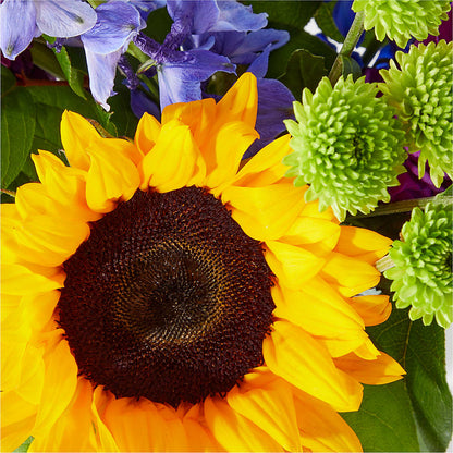 Catching Rays Bouquet –  Simply Flowers, Moscow TN