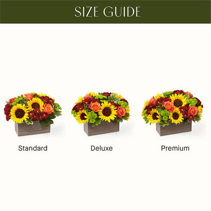 Happy Harvest Garden –  Simply Flowers, Moscow TN