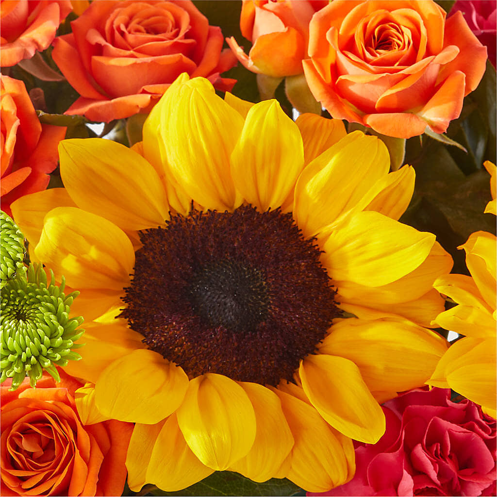 Sun-drenched Blooms Box Bouquet –  Simply Flowers, Moscow TN