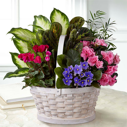Peaceful Garden Planter –  Simply Flowers, Moscow TN