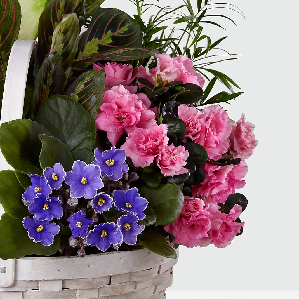 Peaceful Garden Planter –  Simply Flowers, Moscow TN
