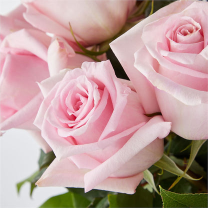 Picture Perfect Pink Rose Bouquet –  Simply Flowers, Moscow TN