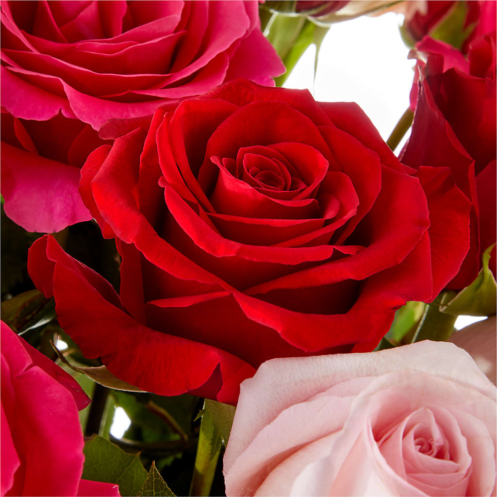Love Notes Rose Bouquet –  Simply Flowers, Moscow TN
