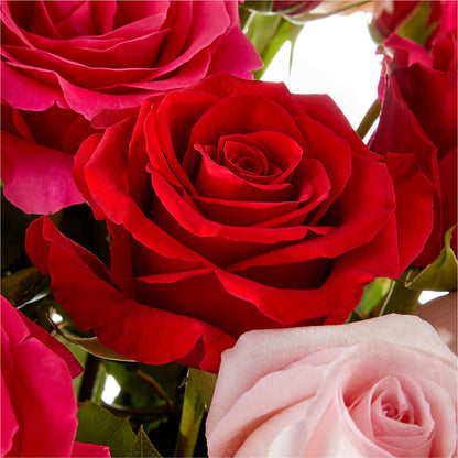 Love Notes Rose Bouquet –  Simply Flowers, Moscow TN