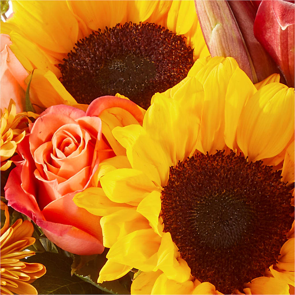 Acorn Lane Bouquet –  Simply Flowers, Moscow TN