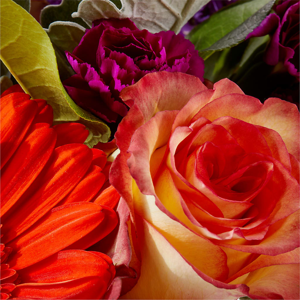 Sangria Bouquet –  Simply Flowers, Moscow TN