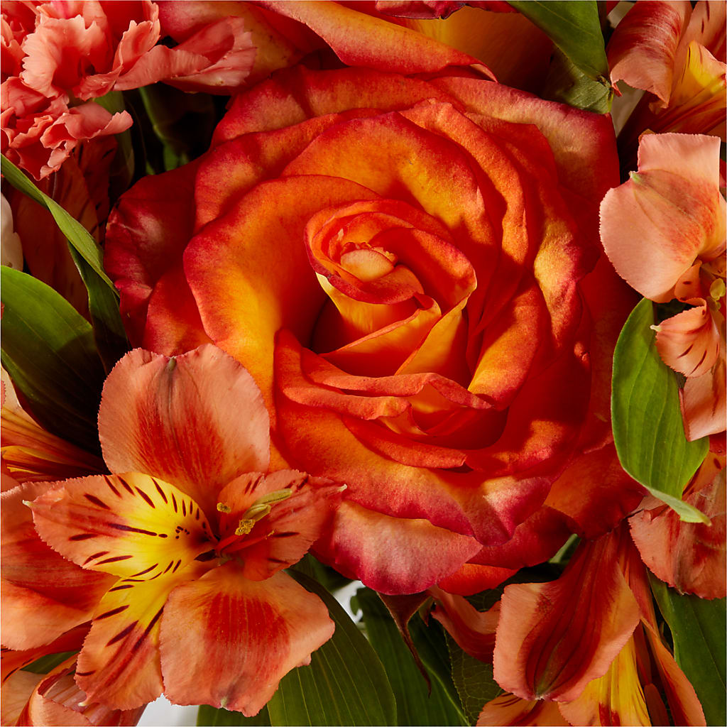 Apricot Glow Bouquet –  Simply Flowers, Moscow TN