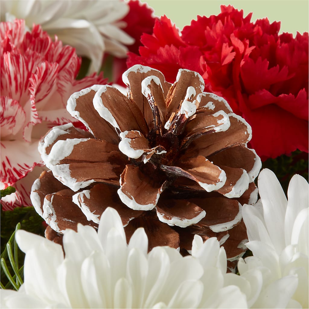 Candy Cane Lane Bouquet –  Simply Flowers, Moscow TN