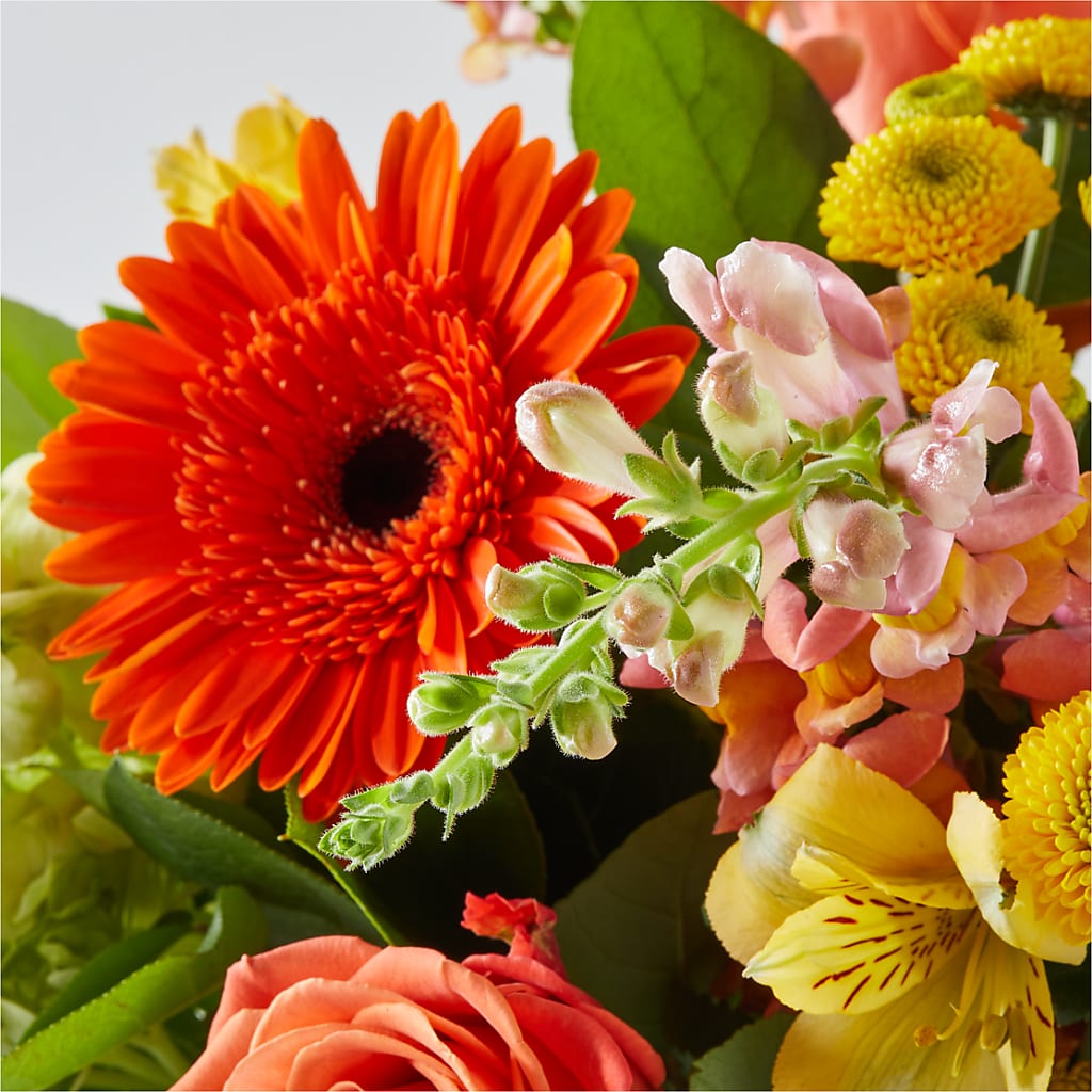 Autumn Sunshine Bouquet –  Simply Flowers, Moscow TN