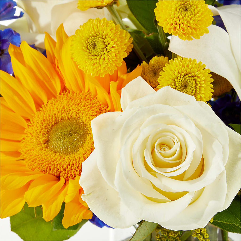 Stargazing Bouquet –  Simply Flowers, Moscow TN