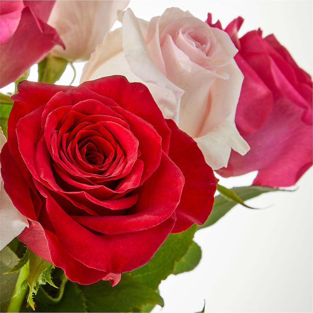 Charming Rose Bouquet –  Simply Flowers, Moscow TN