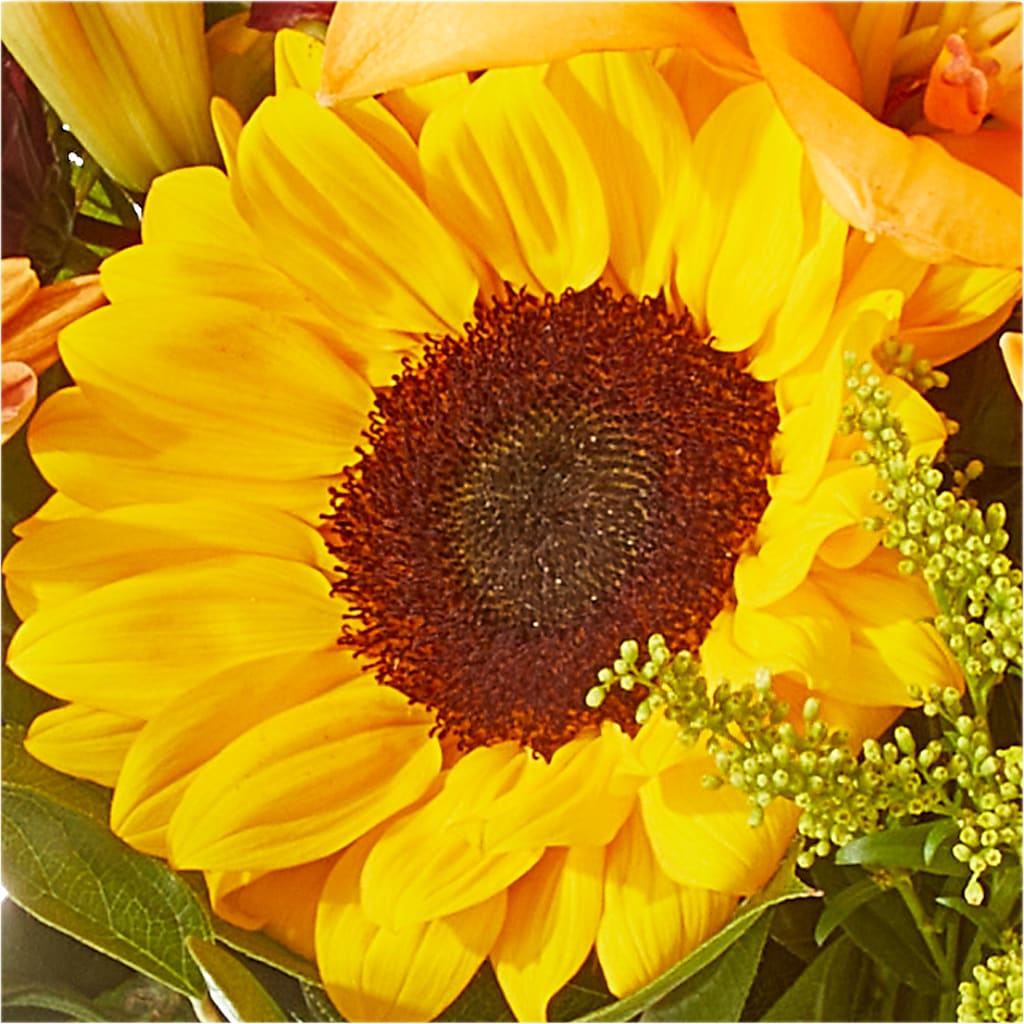 Seasons Change Bouquet –  Simply Flowers, Moscow TN