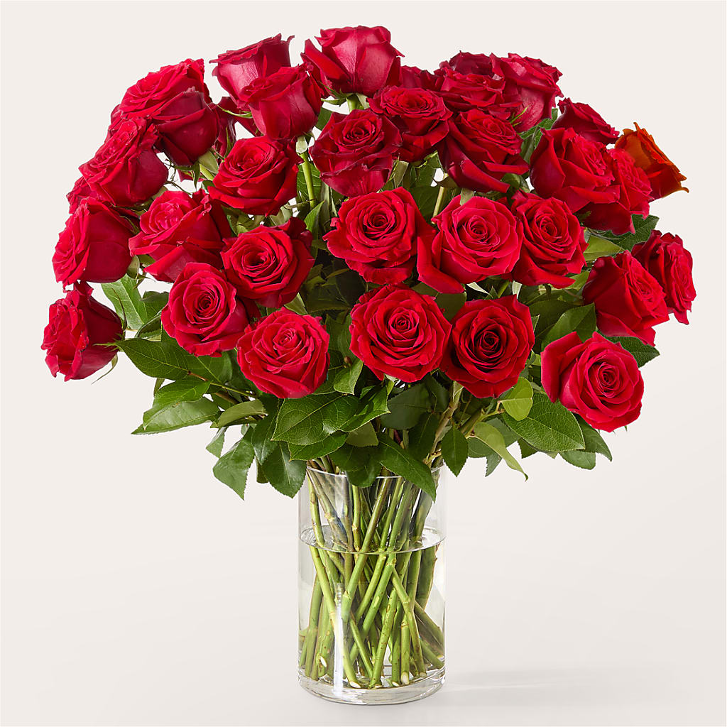 The One Red Rose Bouquet –  Simply Flowers, Moscow TN