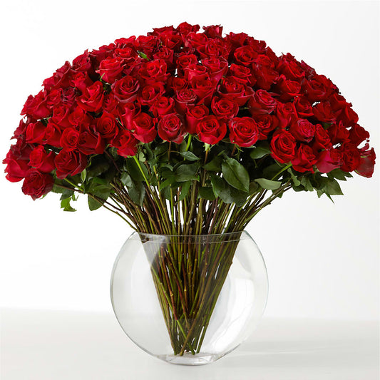 The Idealist –  Simply Flowers, Moscow TN
